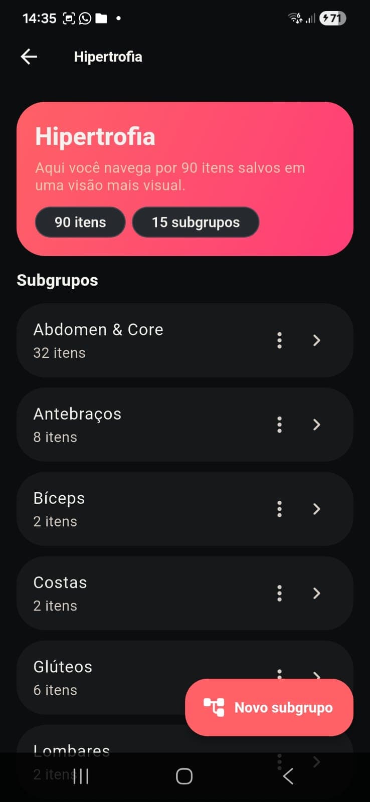 Tela do Video Catalog mostrando organização em grupos.